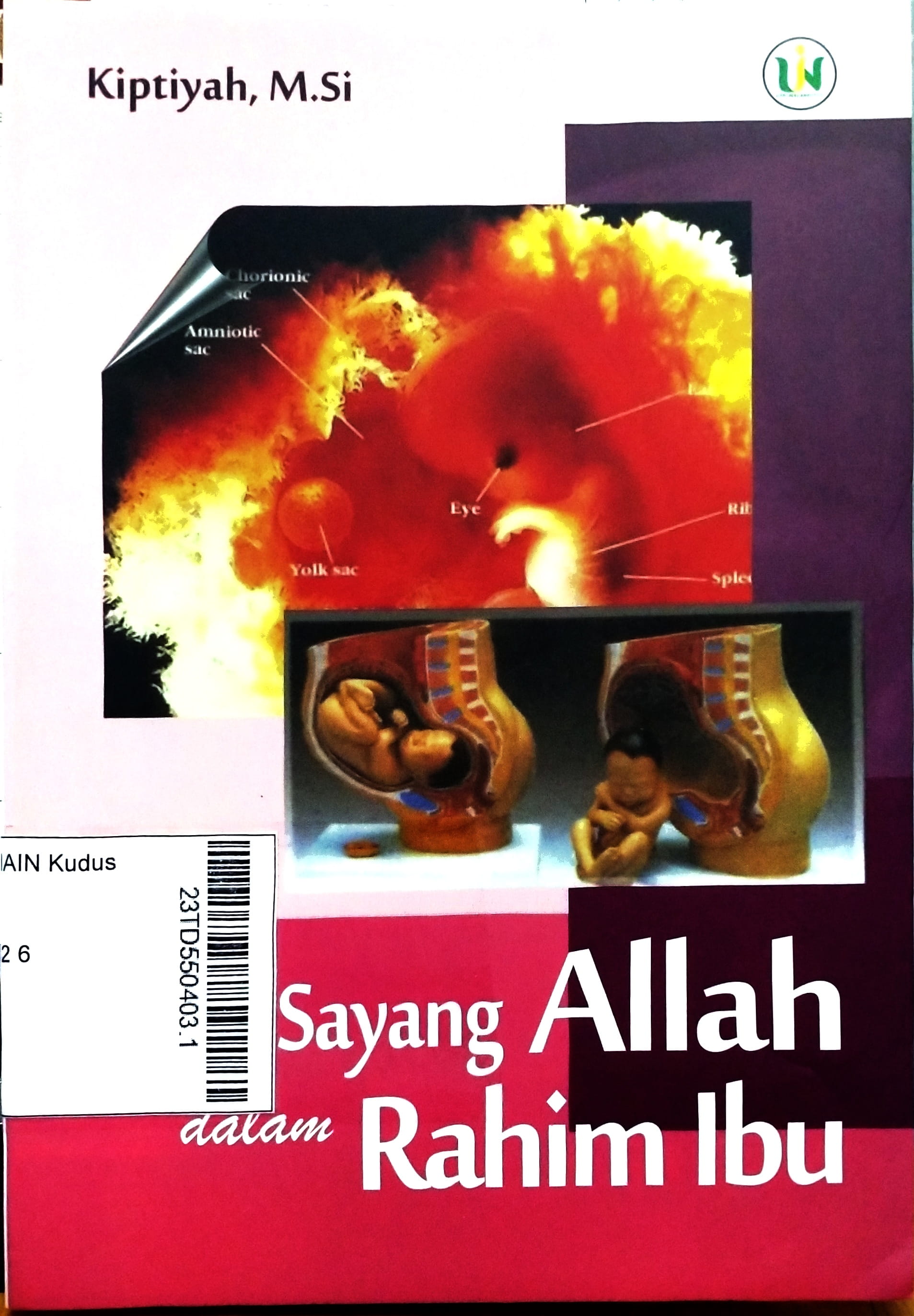 Kasih Sayang Allah dalam Rahim Ibu : kajian integratif pada endokrinologi reproduksi dan al Qur'an