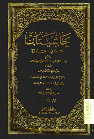 Hasyiyatan : Qalyubi - Amirah