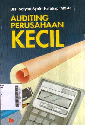Auditing Perusahaan Kecil