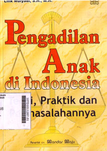 Pengadilan Anak di Indonesia : teori praktik dan permasalahannya