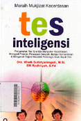 Meraih Mukjizat Kecerdasan Tes Inteligensi : pengenalan tes IQ untuk mengukur kecerdasan, menggali potensi, persiapan sekolah, belajar kemandirian & mengenali gejala masalah psikologis anak sejak dini