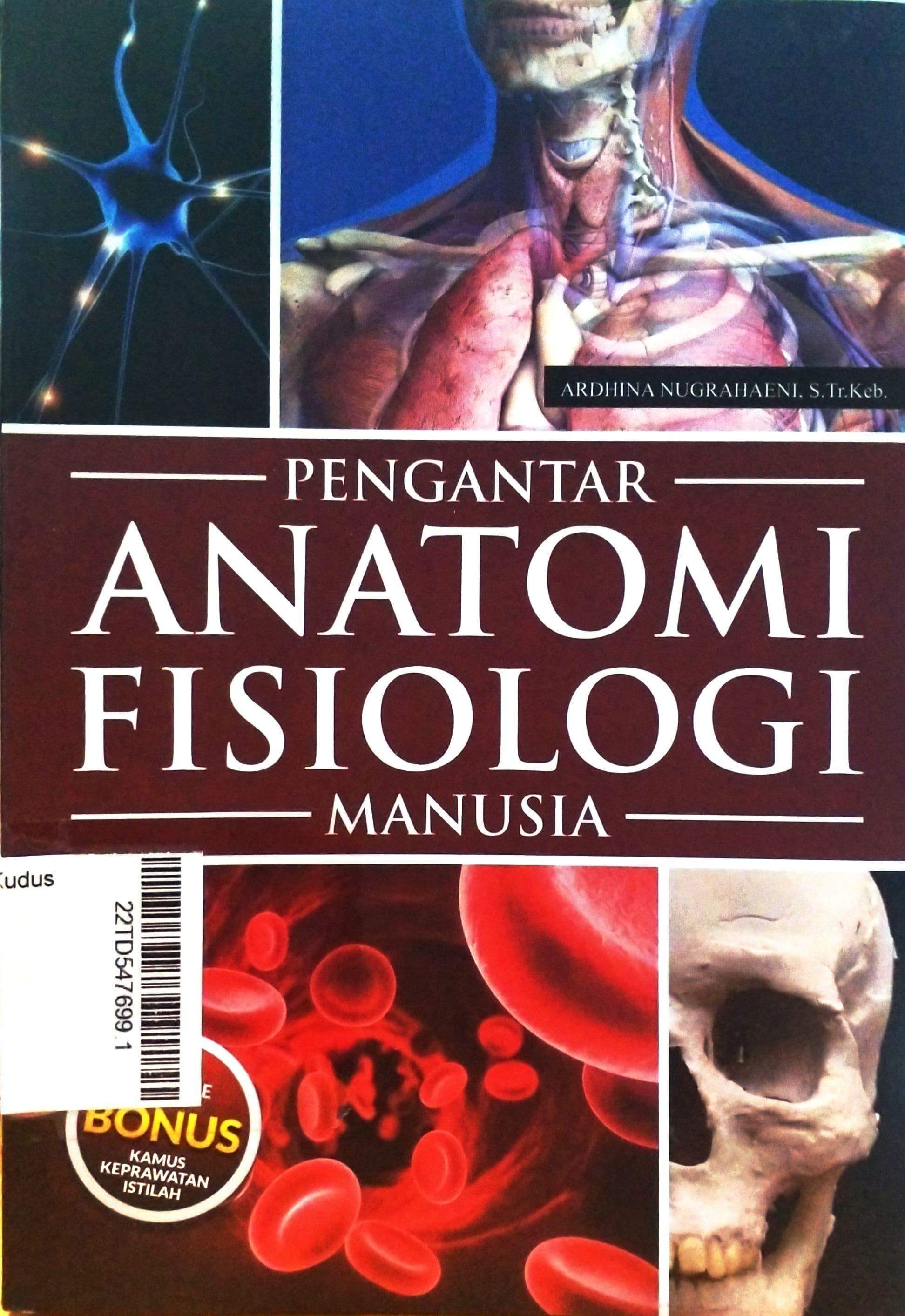 Pengantar Anatomi Fisiologi Manusia