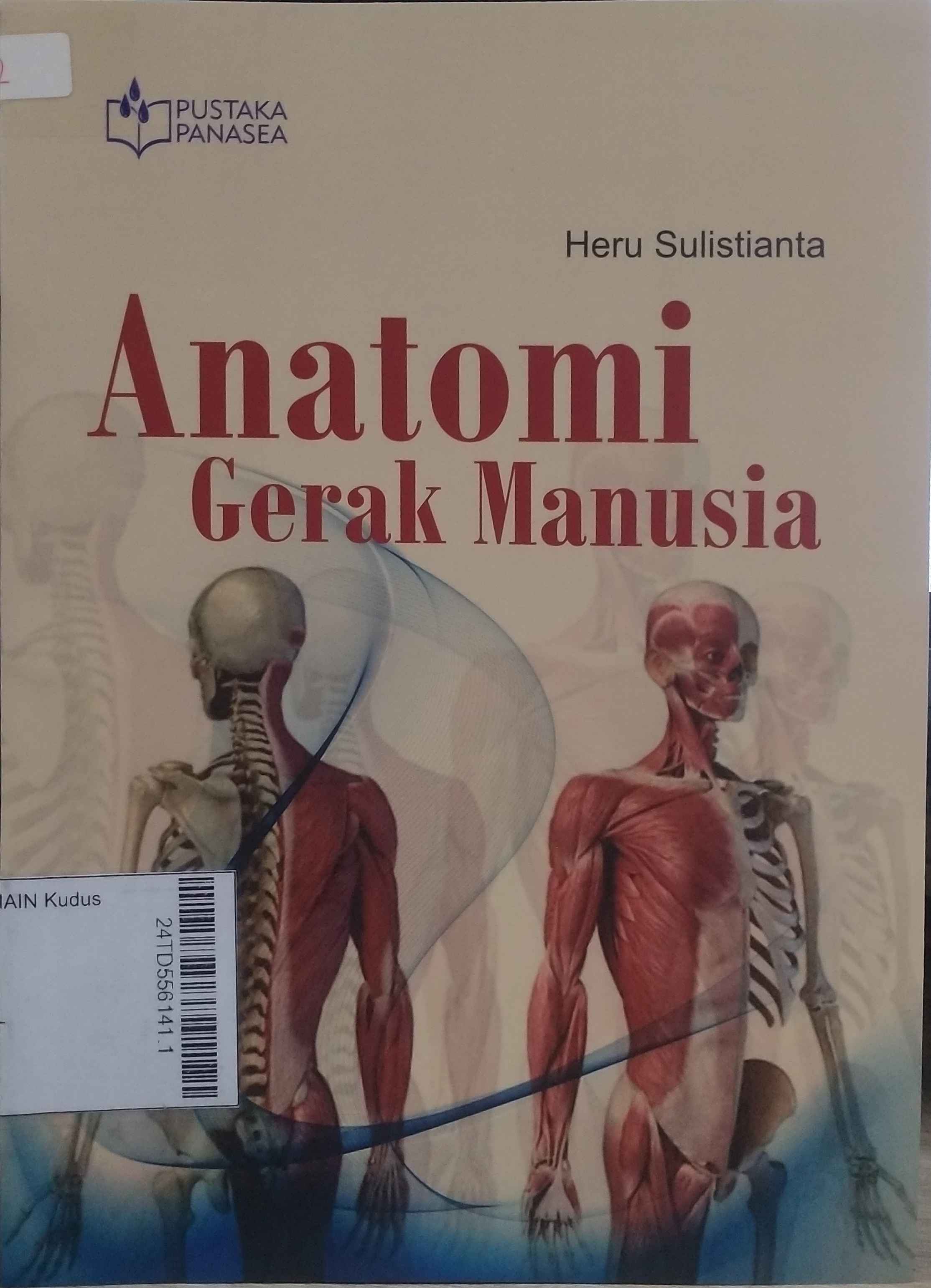 Anatomi Gerak Manusia