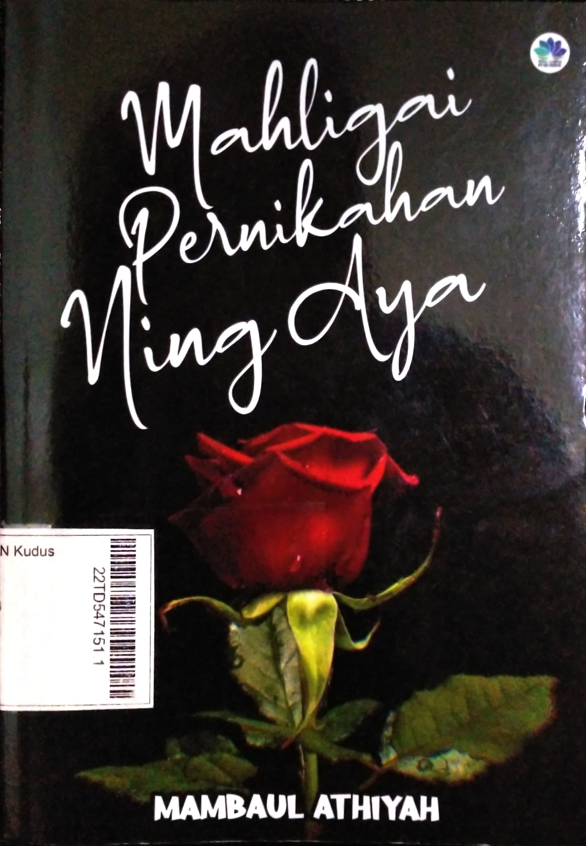 Mahligai Pernikahan Ning Aya